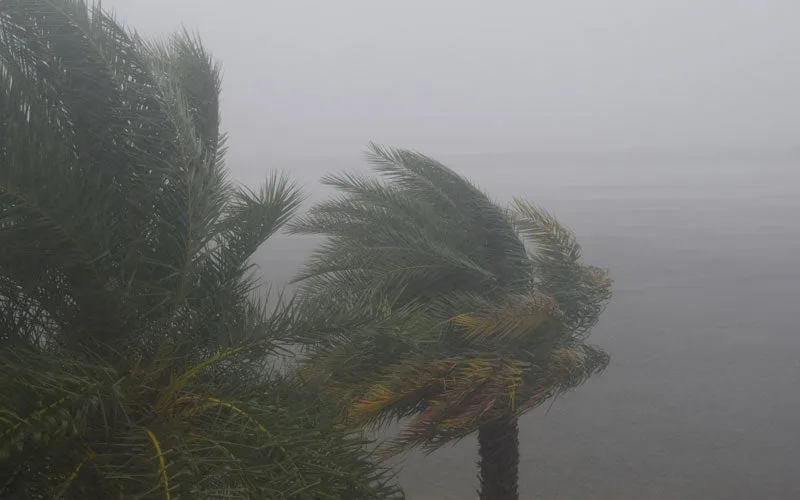 How Long Will It Take to Get a Hurricane Insurance Settlement in Florida?